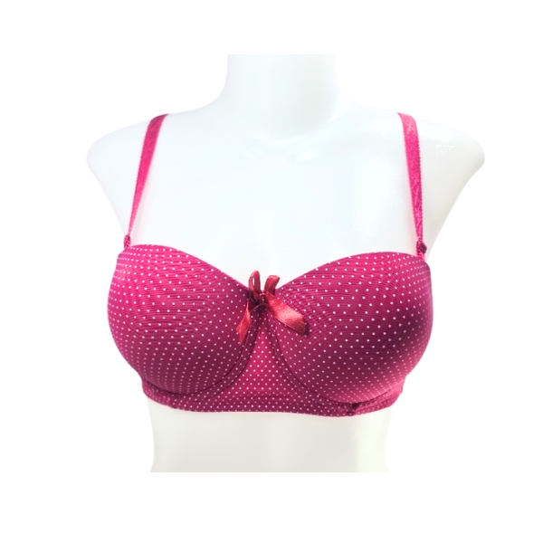 Premium Polka Dot Padded Bra Collection