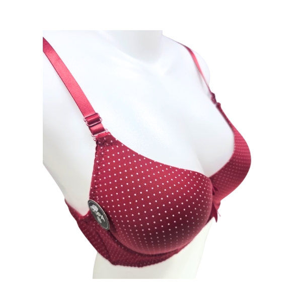 Elegant Polka Dot Padded Bra Collection